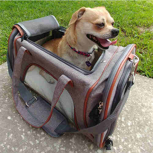 Pet Carrier Travel Tote 